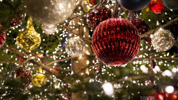 Wallpaper Red, Bokeh, Balls, Decoration, Lights, Blur, Tree, Background, Christmas