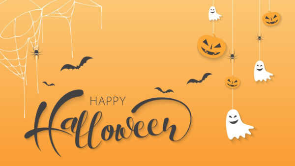 Wallpaper Bats, Pumpkins, Ghosts, Happy, Halloween, Spider