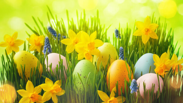 Wallpaper Eggs, Flowers, Happy, Easter, Green, Grass, Yellow, Pink