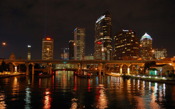 Wallpaper Nights, Tampa