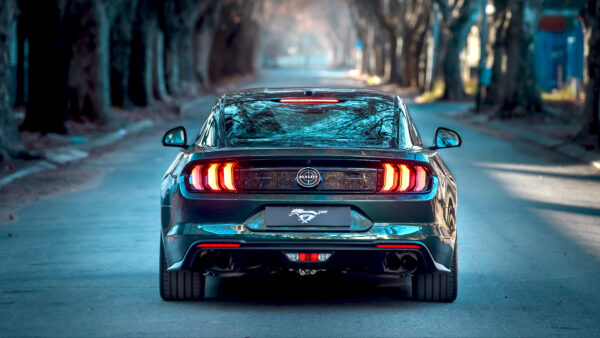 Wallpaper Bullitt, 2019, Ford, Mustang