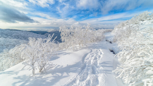 Wallpaper Russia, Blue, Winter, Nature, Background, Sky, Desktop, Snow, Clouds, And, With, Tree