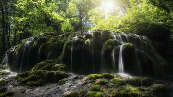 Wallpaper Monitor, Download, Wallpaper, Free, Cool, Waterfall, Sunlight, Green, Dual, Pc, 4k, Leaves, Landscape, Covered, Background, Rocks, Nature, Desktop, Through, Images, Passing, Under