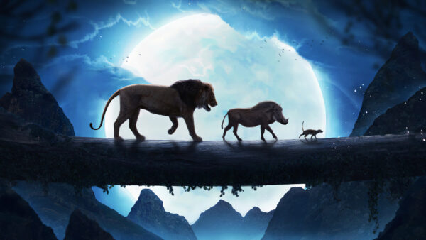 Wallpaper Pumbaa, The, Timon, Simba, Lion, Desktop, King