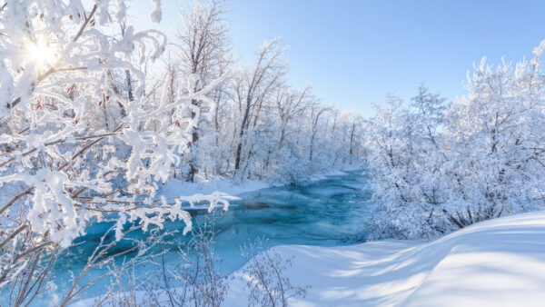 Wallpaper Desktop, Sunbeam, River, With, Frost, Forest, Between, Winter, Trees