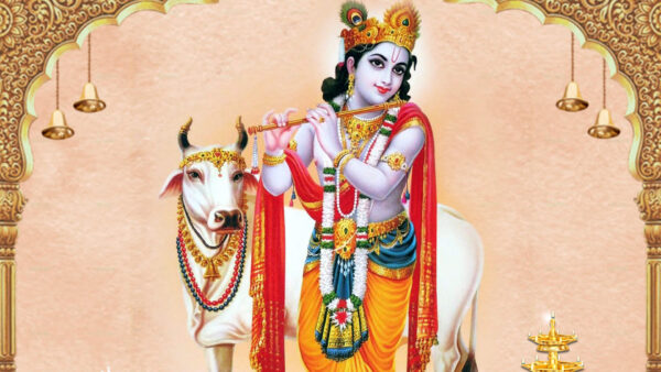 Wallpaper With, Decorated, Flute, Desktop, Cow, Background, Krishna