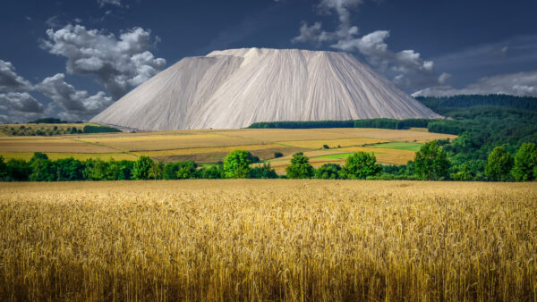 Wallpaper Green, Mobile, Desktop, Mountains, White, Field, Trees, Wheat, Nature, Background