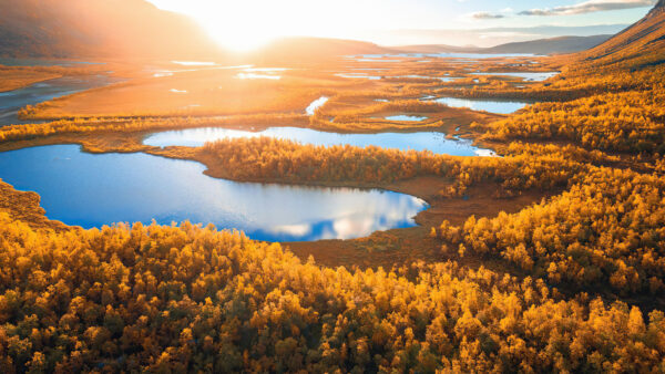 Wallpaper With, Autumn, Reflection, Mobile, Under, Sky, Yellow, Forest, Water, View, Blue, Trees, Desktop, Green, Sunlight, Aerial, Lake