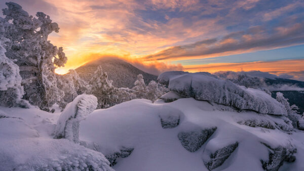 Wallpaper Sky, Covered, Trees, Snow, Nature, Cloudy, Mountain, Under, Black, Yellow, And