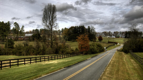 Wallpaper Grass, Trees, Under, Country, Green, Sky, Black, With, Cloudy, Road, Between, Fence