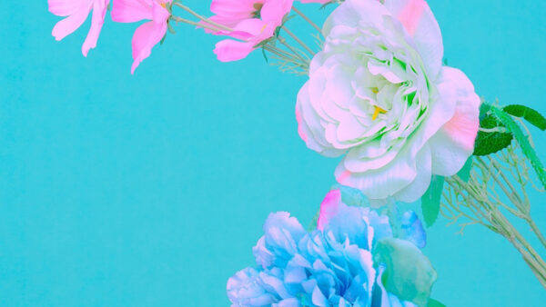 Wallpaper Blue, Aesthetic, Background, Flowers, Colorful