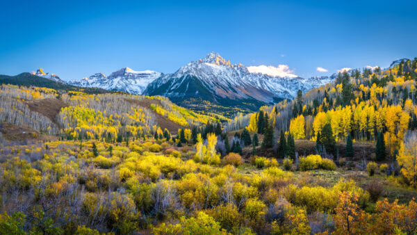 Wallpaper View, Forest, Autumn, Under, Covered, Nature, Trees, Blue, Snow, Sky, Mountains, Landscape