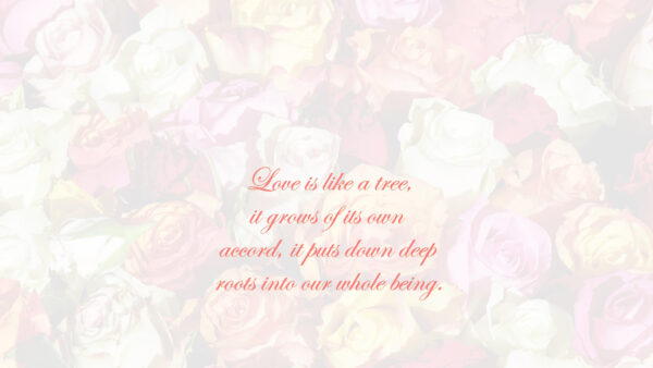Wallpaper Quotes, Like, Grows, Accord, Love, Tree, Own, Its