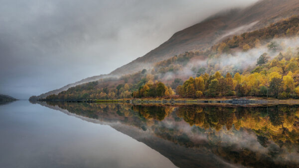 Wallpaper Reflection, Trees, River, With, Autumn, Fall, Green, Mountains, Fog