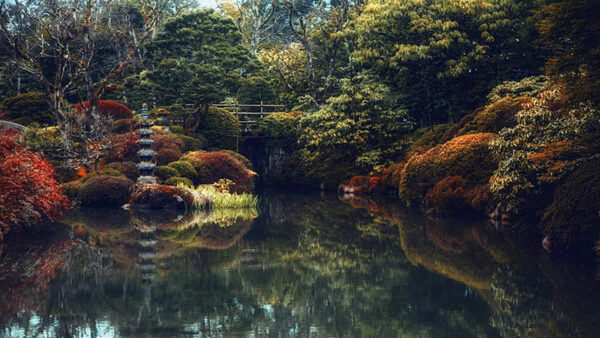 Wallpaper Fall, Nature, Pond, Background, Trees, Green, Autumn, Bridge, Garden