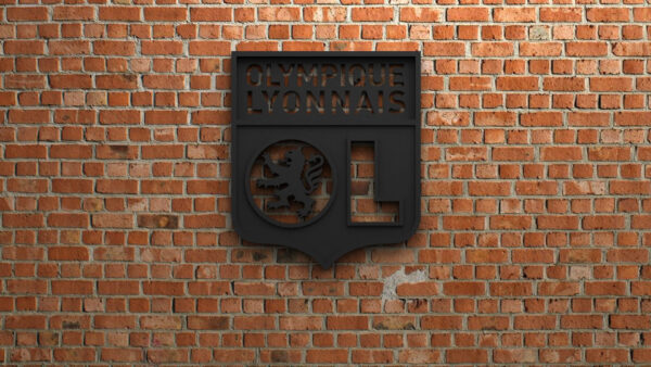 Wallpaper Lyonnais, Soccer, Olympique, Emblem, Logo