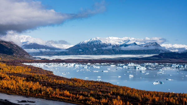 Wallpaper Capped, Coast, Trees, Leaves, Mountains, Ice, With, Nature, Fog, Blue, Mobile, Green, Snow, Frozen, Desktop, Sky, Under, Yellow