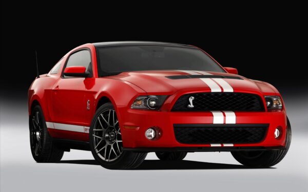 Wallpaper Shelby, Ford, 2011, GT500