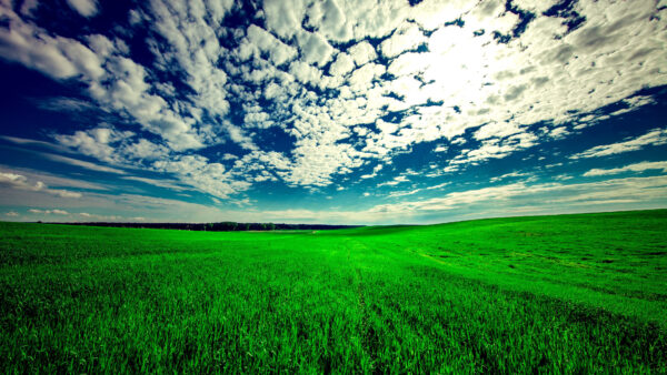 Wallpaper Field, 4k, Clouds, Sky, Grass