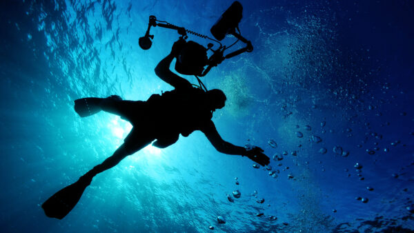 Wallpaper Diver, Ocean, Scuba