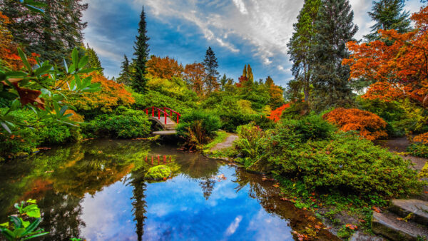 Wallpaper Garden, Reflection, Seattle, Pond, Desktop, Mobile, With, Travel, Japanese