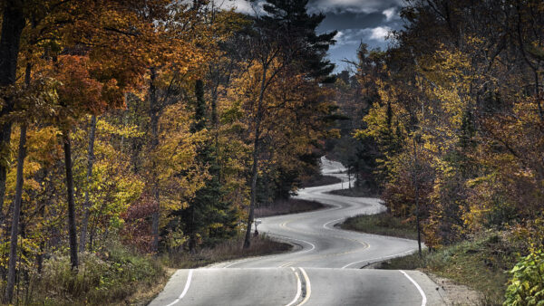 Wallpaper Nature, Trees, Desktop, Pc, Road, Wallpaper, Landscape, Images, Cool, 4k, Background