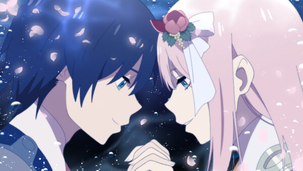 Wallpaper Two, The, Darling, Flower, Pink, With, Hair, Background, Hiro, Anime, FranXX, Black, Zero