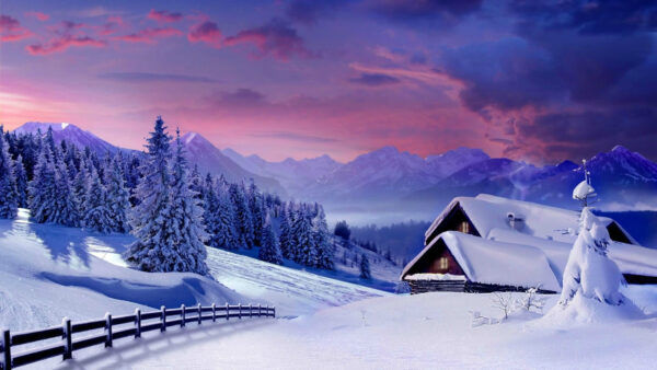 Wallpaper Under, Winter, Covered, Snow, Trees, And, Sky, View, Mobile, Landscape, Cloudy, Mountains, Desktop, Field