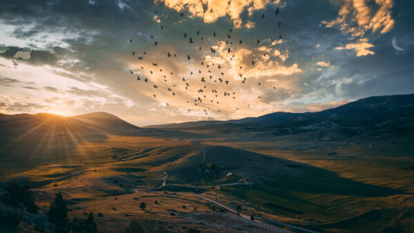 Wallpaper Birds, Hills, Flying, Sunset, Cloudy, Under, And, During, Landscape, Desktop, Sky, Mobile, Nature