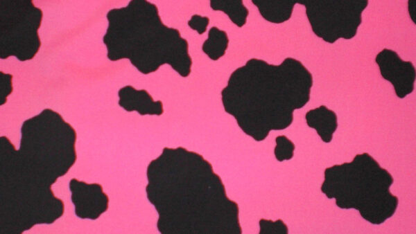 Wallpaper And, Cow, Pink, Black, Print, Desktop