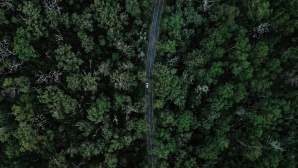 Wallpaper Aerial, Between, View, Forest, Road, Desktop, Car