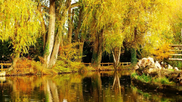 Wallpaper Pond, Surrounded, Fence, Trees, Nature, Reflection, Desktop, Autumn