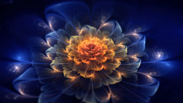 Wallpaper Desktop, Dark, Fractal, Flower, Light, Abstract, Blue