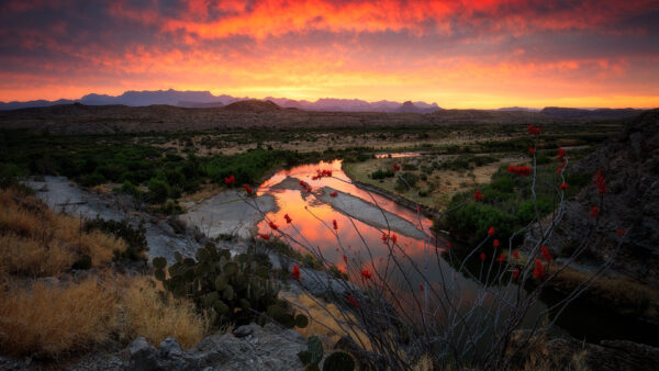 Wallpaper Fiery, Sky, Desktop, Cloudy, Mountain, Under, Between, Green, River, With, Landscape, Nature, Trees, Cactus, And