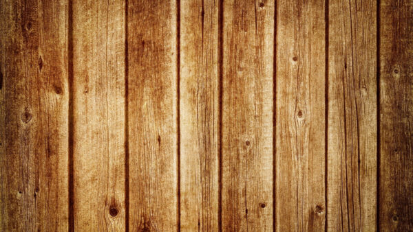 Wallpaper Wood, White, Shades, Brown, Wooden