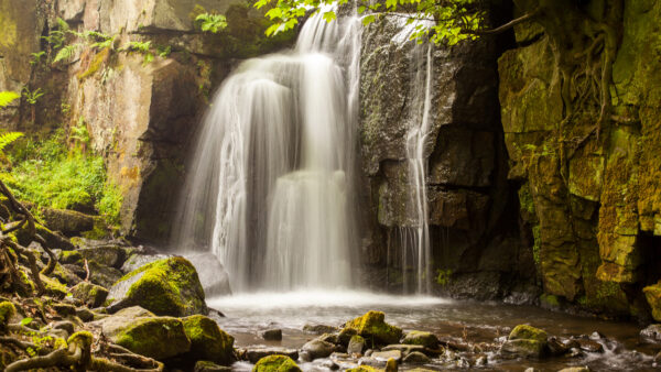 Wallpaper Algae, Covered, From, Rocks, Nature, Plants, Waterfalls, Green, Desktop, Stones, Mobile, Stream