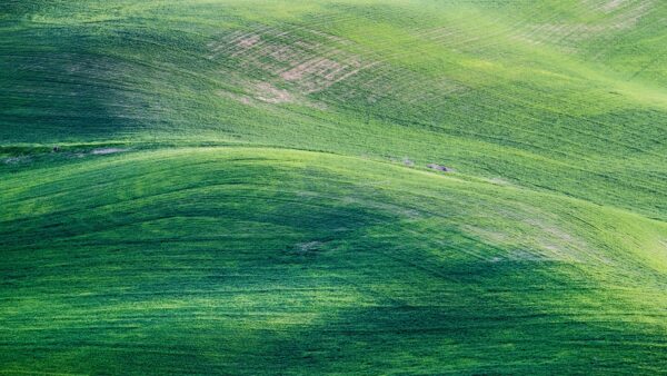 Wallpaper Green, Grass, Nature, View, Background, Slope, Hill, Landscape, Mobile, Aerial, Desktop