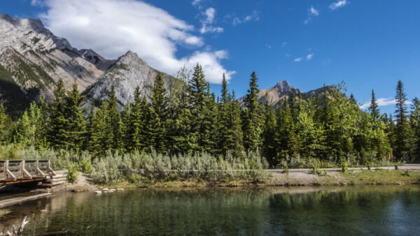 Wallpaper Background, Green, Clouds, Nature, Sky, Surrounded, Mobile, Trees, Plants, Above, River, White, Mountains, Blue, Desktop, Bridge