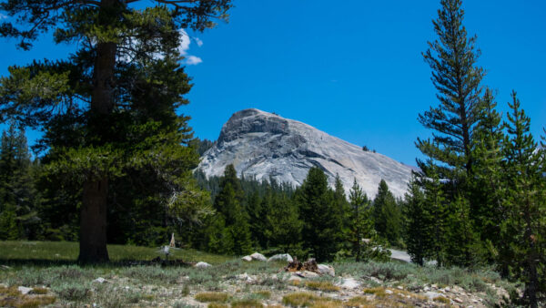 Wallpaper Green, Trees, Background, Mountain, Spruce, Blue, Sky, Rock, Nature