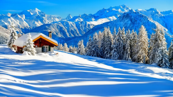 Wallpaper Trees, During, House, Snow, Covered, Mountains, Under, Slope, Beautiful, Blue, Winter, Sky, Daytime