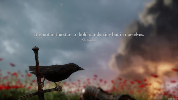 Wallpaper But, Not, The, Ourselves, Destiny, Hold, Stars, Inspirational, Desktop, Our