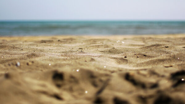 Wallpaper Blur, Beach, Background, Closeup, View, Sand