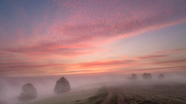 Wallpaper Nature, Grass, Clouds, Trees, Green, White, Fog, During, With, Under, Field, Blue, Sunset, Sky
