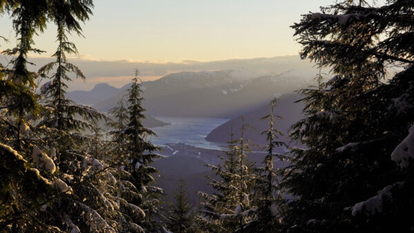 Wallpaper Trees, Nature, Mountains, Snow, Spruce, Blue, Closeup, River, Sky, With, View