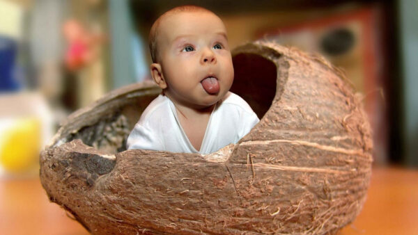 Wallpaper Funny, Baby, Shell, Coconut, Tongue, Inside, Face, Out