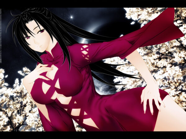 Wallpaper Girl, Anime