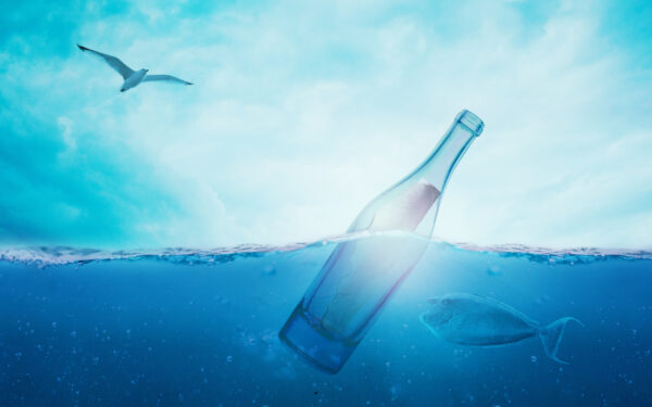 Wallpaper Fish, Secret, Bottle, Bird