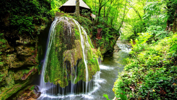 Wallpaper Desktop, Waterfalls, River, Forest, Nature, Mobile