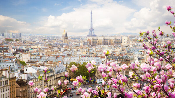 Wallpaper And, Travel, Tower, Sky, With, Background, Purple, Paris, Cityscape, Blue, Mobile, Eiffel, Clouds, Desktop, Flowers, Front