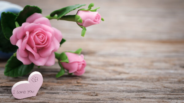 Wallpaper Flowers, With, Pink, Mobile, Leaves, Desktop, Bench, Wood, Rose